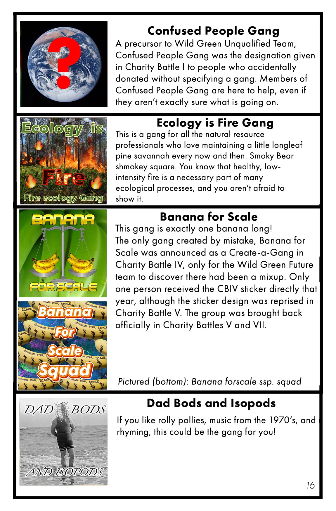 Dichotomous Key (Physical Book)