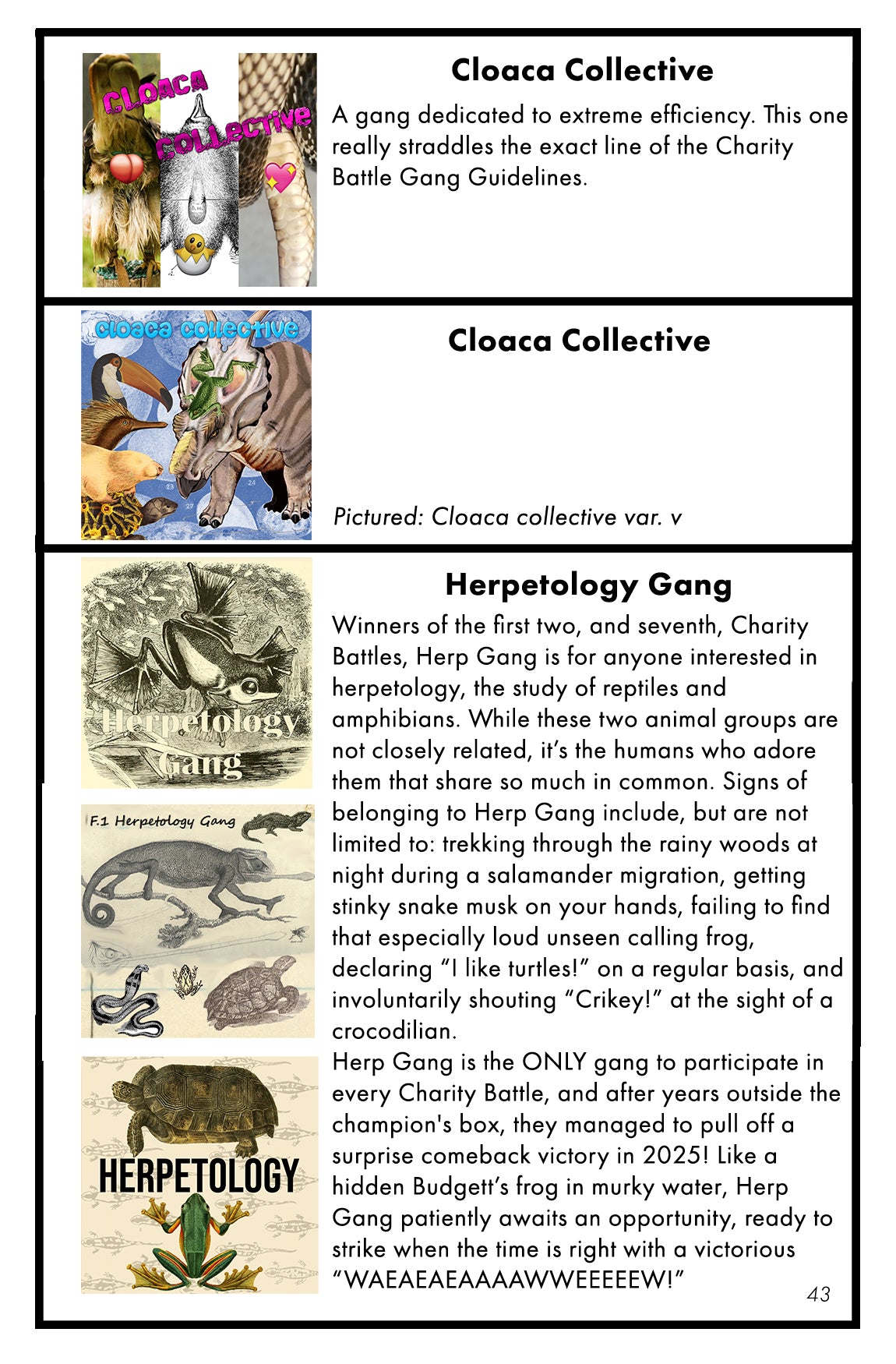 Dichotomous Key (Physical Book)